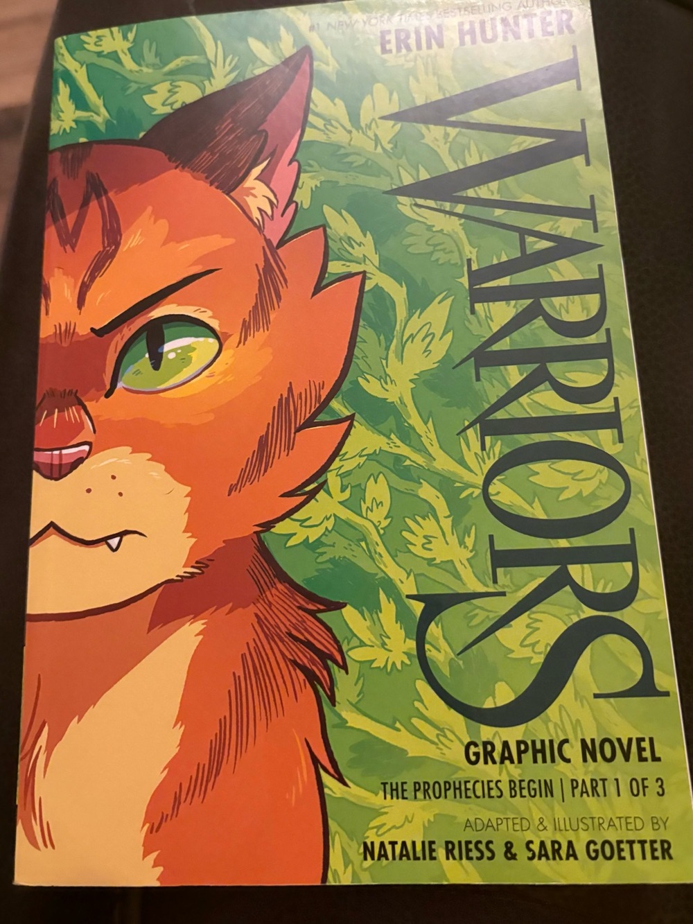Warriors Graphic Novel The Prophecies Begin Part 1 of 3 by Erin Hunter